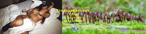 MDMA Premium VHQ Липки