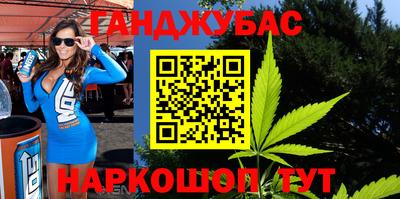 сатива Кингисепп