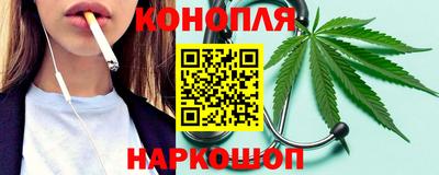 сатива Кингисепп