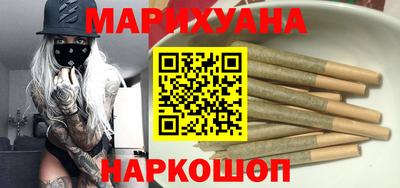 сатива Кингисепп