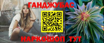 сатива Кингисепп