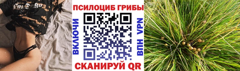 Галлюциногенные грибы прущие грибы  Рязань 