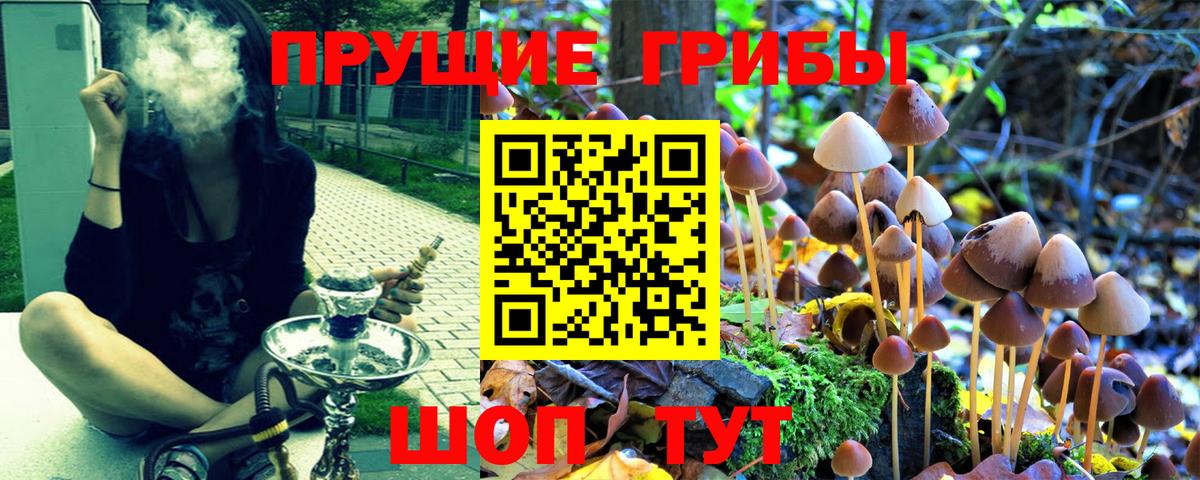 Псилоцибиновые грибы MAGIC MUSHROOMS Рязань