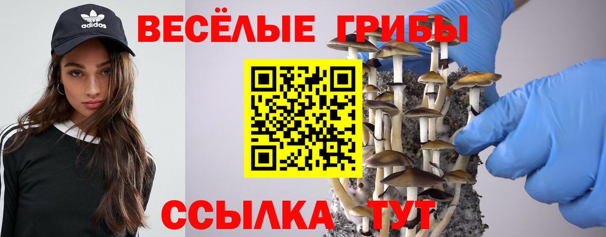 Псилоцибиновые грибы GOLDEN TEACHER  Рязань 