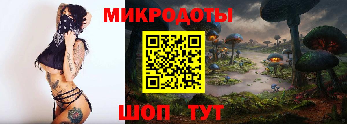 Псилоцибиновые грибы Psilocybe Рязань